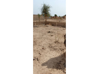 Vente de terrain non loti 11*13m Kossodo derrière usine de cimentérie