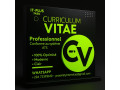 cv-curriculum-vitae-professionnel-small-0