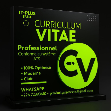 cv-curriculum-vitae-professionnel-big-0