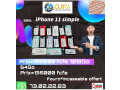 iphone-11-simple-americain-pure-water-plouf-small-1