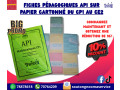 fiches-pedagogiques-api-small-0