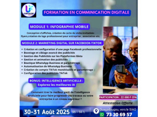 | Publicité digitale | WhatsApp Business | Intelligence Artificielle