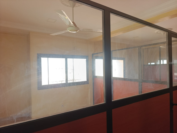 open-space-a-patte-doie-big-3