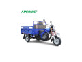 trycicle-apsonic-small-0