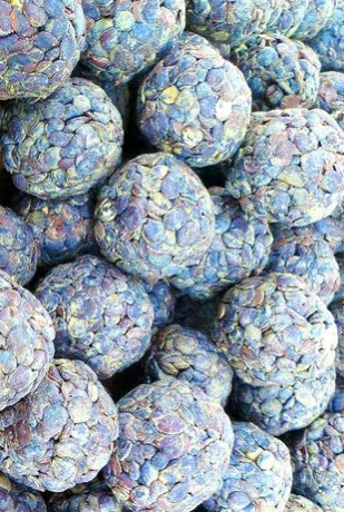 produit-naturel-du-burkina-faso-big-0