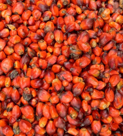 produit-naturel-du-burkina-faso-big-2