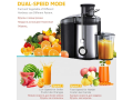 extracteur-de-jus-small-3