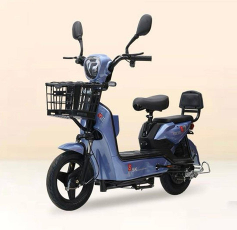velomoteur-tres-propre-et-tres-pratique-big-1