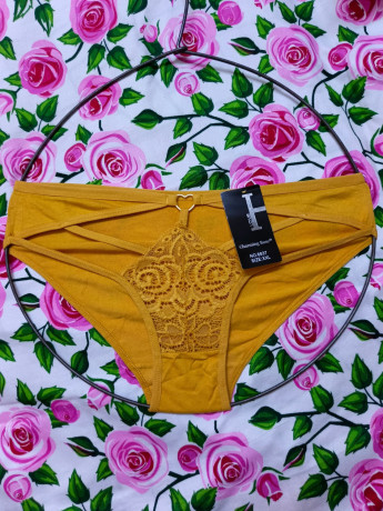 slips-sans-trace-en-dentelle-et-en-coton-big-3
