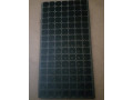 aveoles-de-105-trous-de-semis-small-0