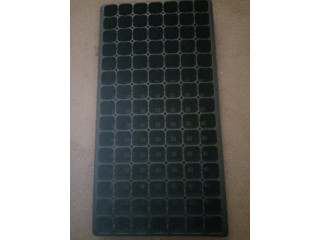 Avéoles de 105 trous de sémis