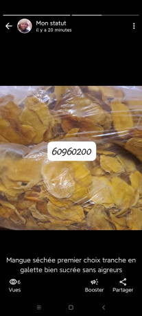 mangue-sechee-big-0