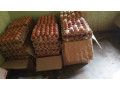 vente-doeufs-de-consommation-small-2