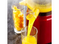 extracteur-de-jus-professionnel-small-2