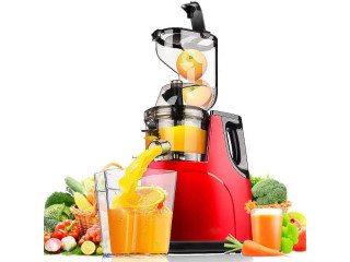 Extracteur de jus Professionnel