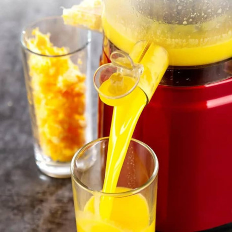 extracteur-de-jus-professionnel-big-2