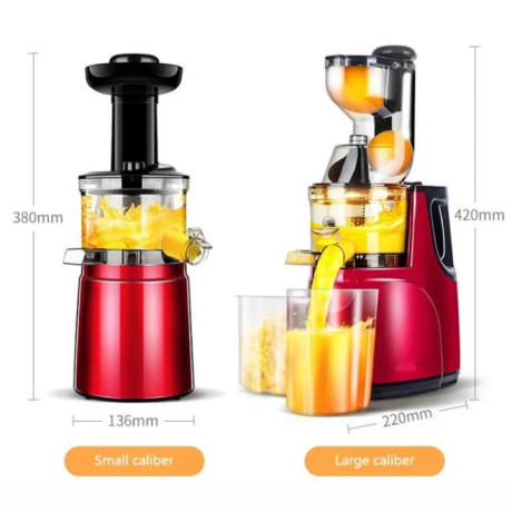 extracteur-de-jus-professionnel-big-1