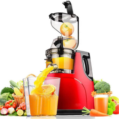 extracteur-de-jus-professionnel-big-0