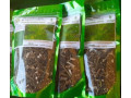 the-infusions-locaux-small-1