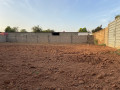 location-de-parcelle-dassasgho-small-4