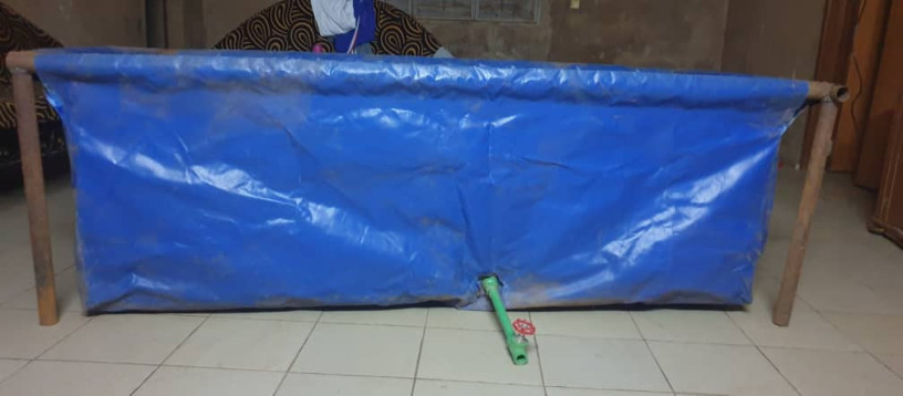 back-disponible-pour-lelevage-de-vos-differentes-poisson-big-1