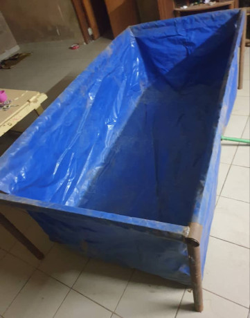 back-disponible-pour-lelevage-de-vos-differentes-poisson-big-0