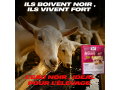 humivet-pour-lelevage-small-2