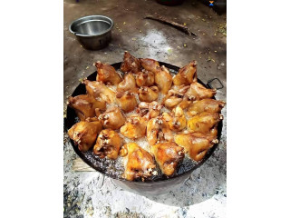 Bonsoir des poulets disponibles pour la consommation pour vos cérémonies événements