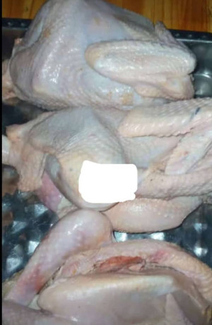 promotion-speciale-poulets-locaux-ameliores-big-1
