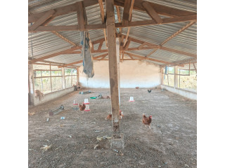 Koubri en pleine ville, une ferme en vente. 2km du goudron et à 50m d'une grande  voie