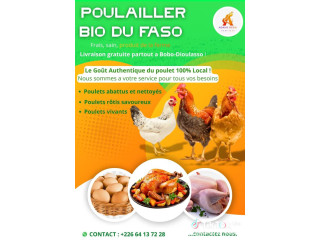 Poulailler Bio du faso