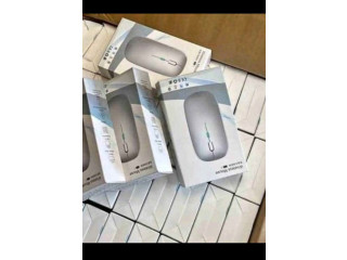 Souris électrique rechargeable sans fil