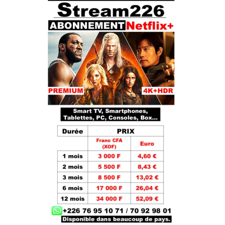 abonnement-netflix-premium-big-2