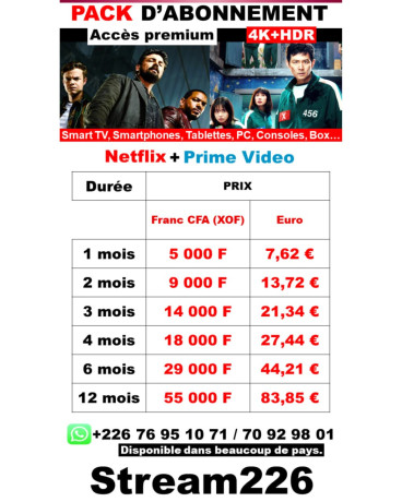 abonnement-netflix-premium-burkina-faso-stream226-big-2