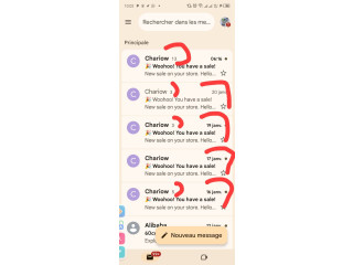 Gagner +300.000 par mois grâce à l'ecommerce des produits digitaux