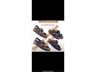 Birkentok