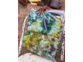 kokodunda-small-2
