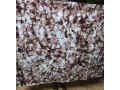 kokodunda-small-0