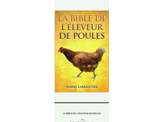 Document sur l'élevage de poulet
