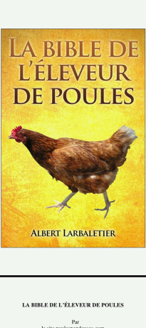 document-sur-lelevage-de-poulet-big-0