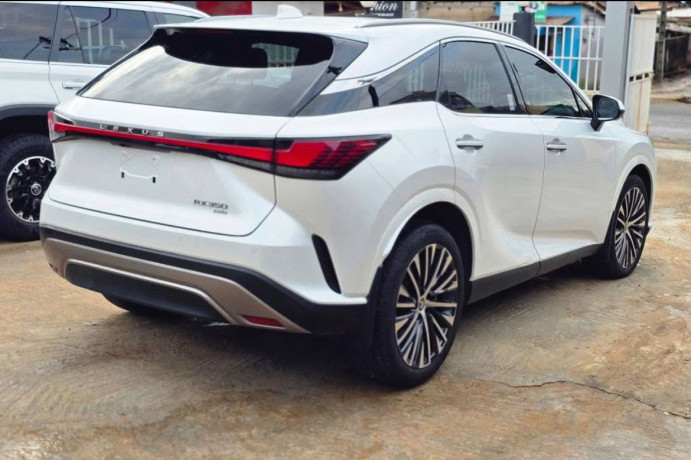 lexus-rx-350-2025-en-vente-a-la-zad-big-0