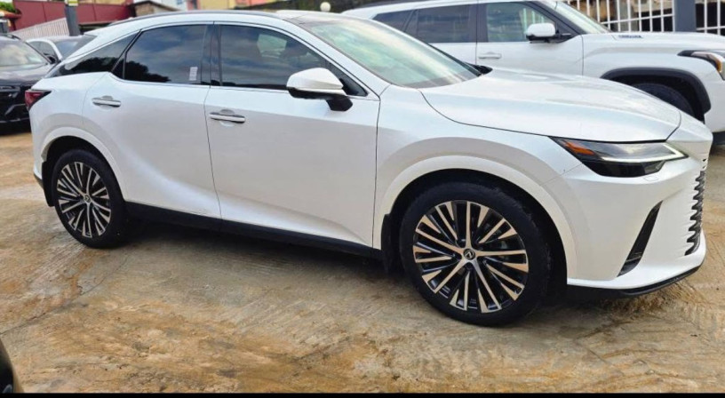 lexus-rx-350-2025-en-vente-a-la-zad-big-4