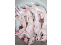viande-fraiche-de-lapin-abattu-sur-place-ou-congele-small-0