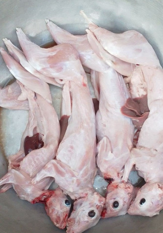 viande-fraiche-de-lapin-abattu-sur-place-ou-congele-big-0