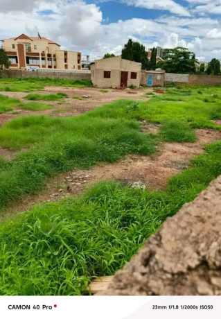 pan-coupe-en-vente-a-ouaga-2000-zone-a-big-0