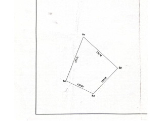 2 hectares en vente à Donsin