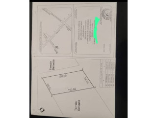 Terrain 3 hectares en vente à Koubri
