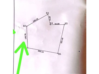 Terrain 4 hectares en vente à koubri
