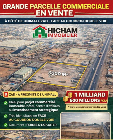 terrain-en-vente-a-la-zad-cote-unimall-big-1