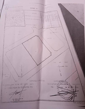 pan-coupe-en-vente-a-pissy-big-1